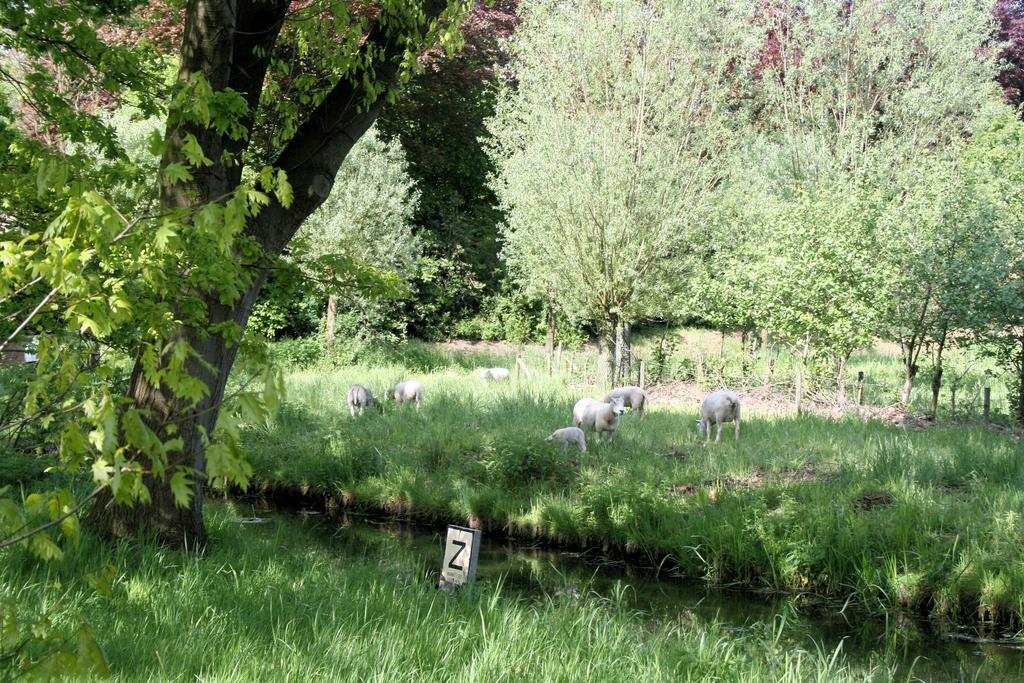 Hotel Hof Van 'S Gravenmoer 's-Gravenmoer Bagian luar foto